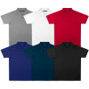 Colour Range Madrid Mens Performance Polo